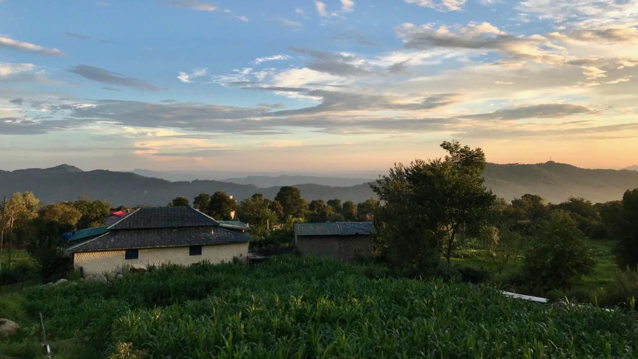 Bir Nest Hostel Dış mekan fotoğraf