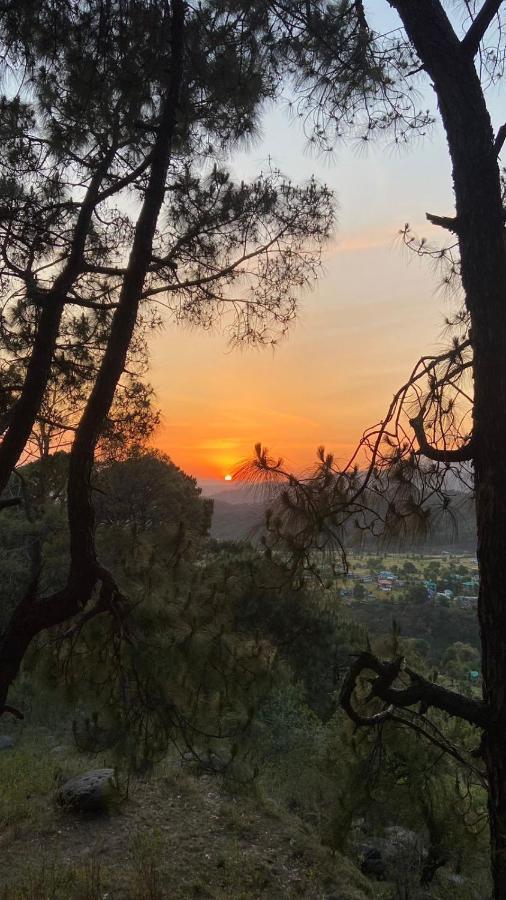 Bir Nest Hostel Dış mekan fotoğraf